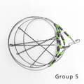10PC  8g