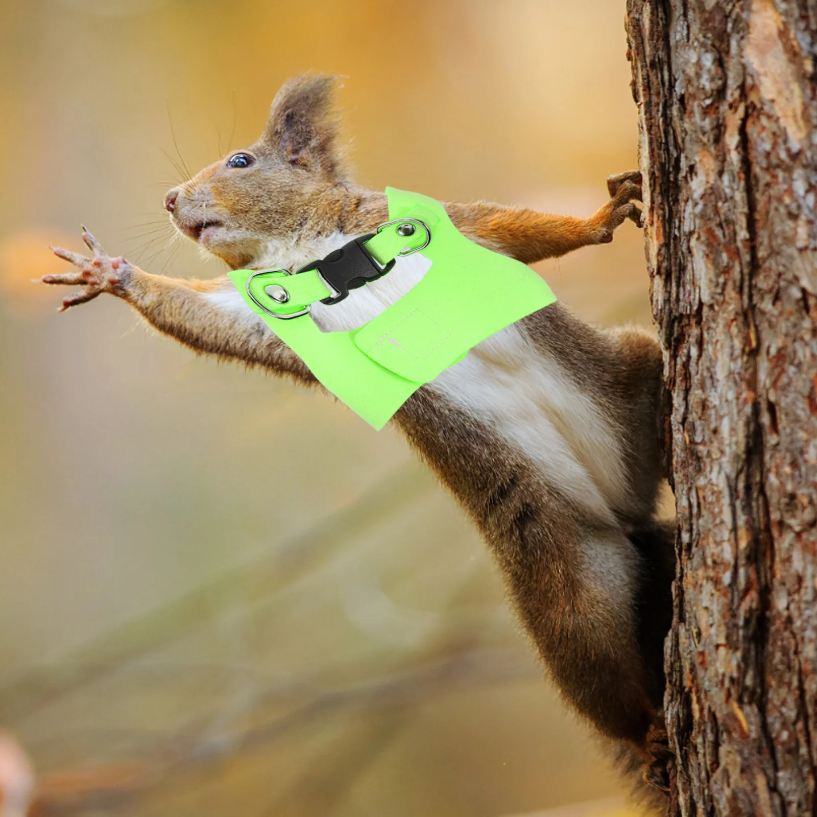 

1Set Pet Harness Chest Strap Ferret Leash Adjustable Vest Style Small Animal Leash Kit for Hamster Chinchilla Squirrel Outdoor