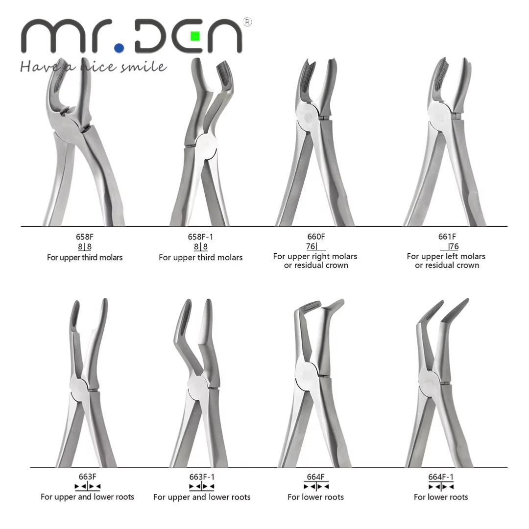 MR DEN ملقط استخلاص الأسنان عالي الجودة للبالغين كماشة أسنان بمقبض متعدد الفتحات لقواطع علوية وسفلية أضراس Bicuspids