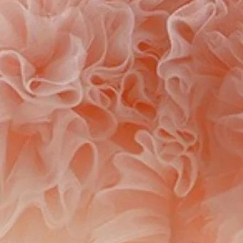 

2025 Princess Luxury Formal DressPageant Girl Outfits Banquet Flower Girls Birthday Party Puffy Gown Hostess Performance