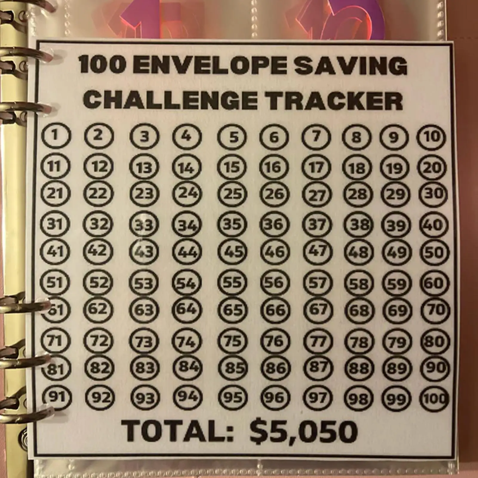 100 Envelope Challenge Binder Save Savings Challenges LooseLeaf Binder Budget Binder With Cash Envelopes Money Organizer System view 4