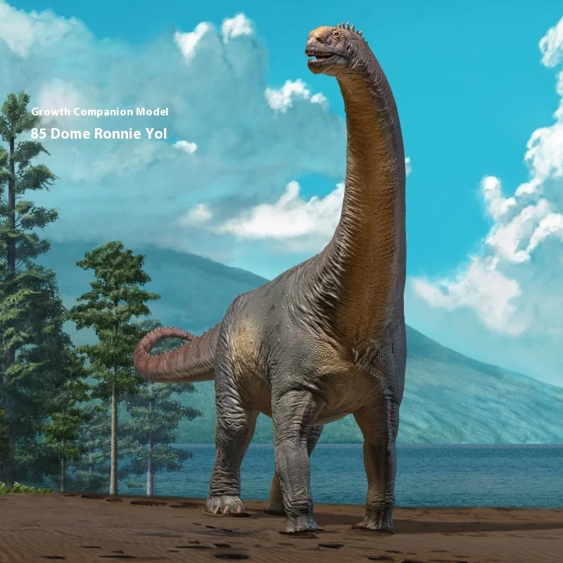 

Prehistoric Giant Beast Mamenchisaurus Dome Shaped Dragon Simulated Dinosaur Model Toy Science Education Art Model