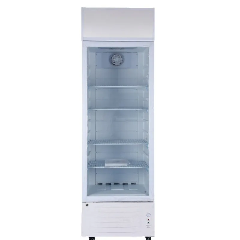 Solar refrigerated display cabinet DC12/24V refrigerator freezer foreign trade freezer refrigeration green energy saving wholesa