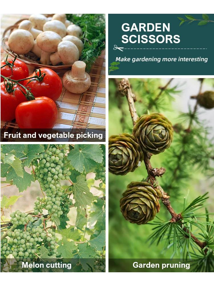 Straight Head Pruning Shears