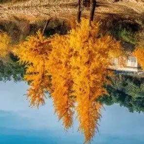 

Для литий-ионных аккумуляторов Makita 10,8 В 3000 мАч/4000 мАч/6000 мАч 197390-1 BL1015 1973901 BL1041B BL1015B BL1020B