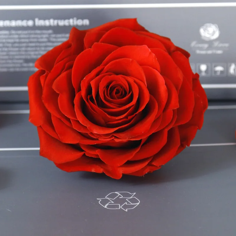 Single immortal Rose, Natural preservation, A Wedding Celebration, Best Party Gifts, 9-10cm