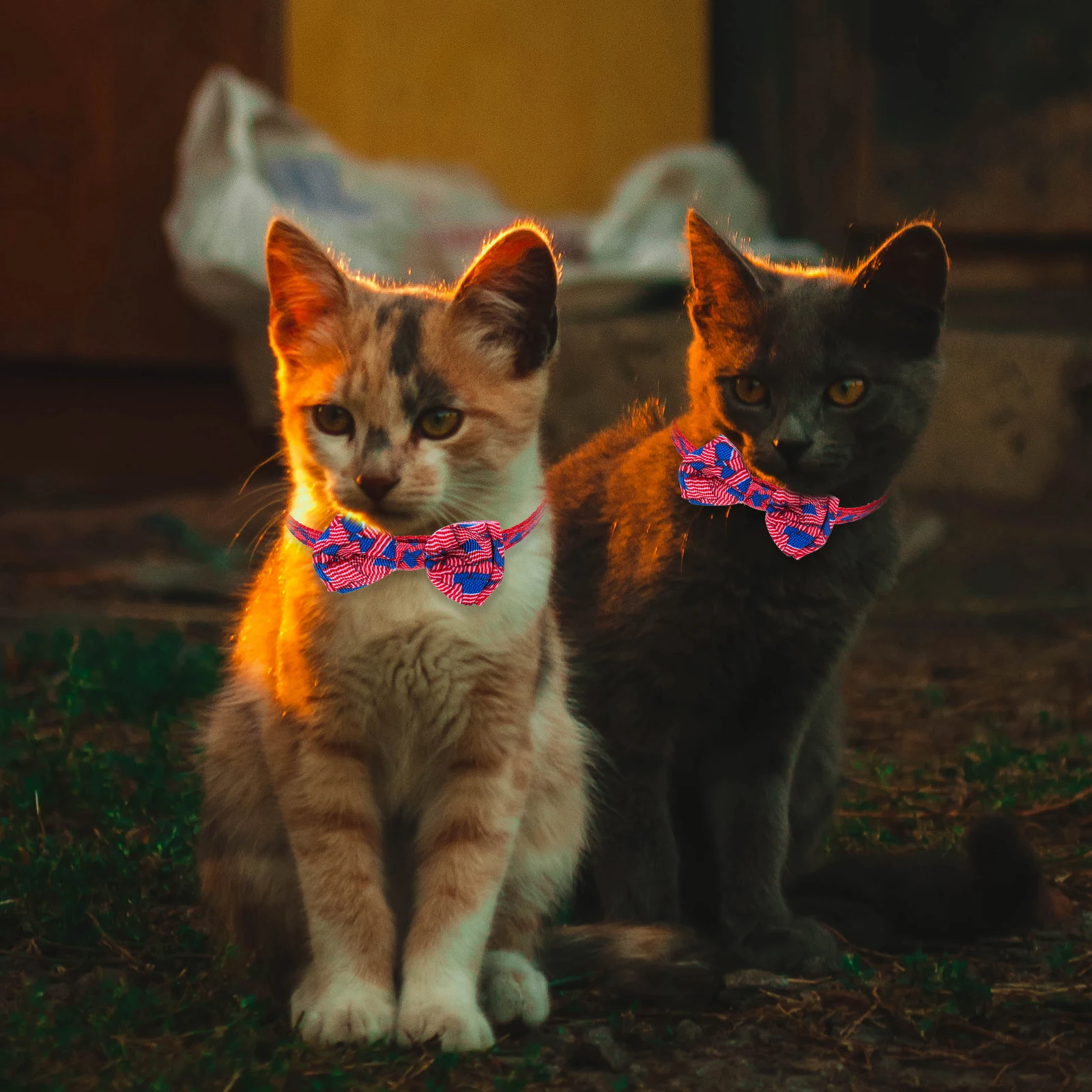 

American Flag Cat Collar Adjustable Cute Pet Accessories Decorative Holiday Bandana Independence Day Dog Leash Cats Bow Ties