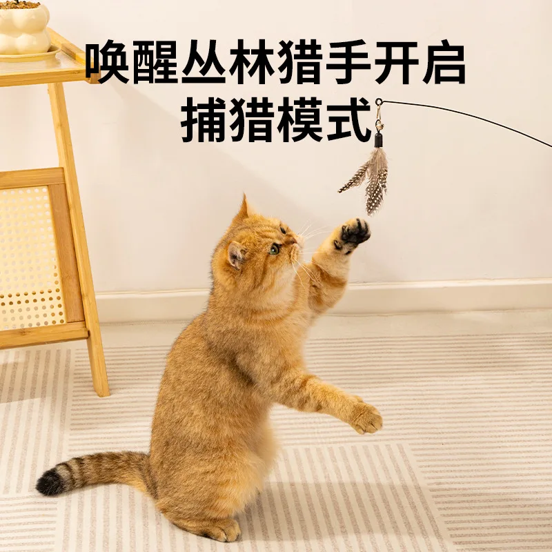 Cat Feather Teaser Stick Competition-Grade Spring Wooden Handle Cat Stick With Bell Self-Entertaining Pet Toy