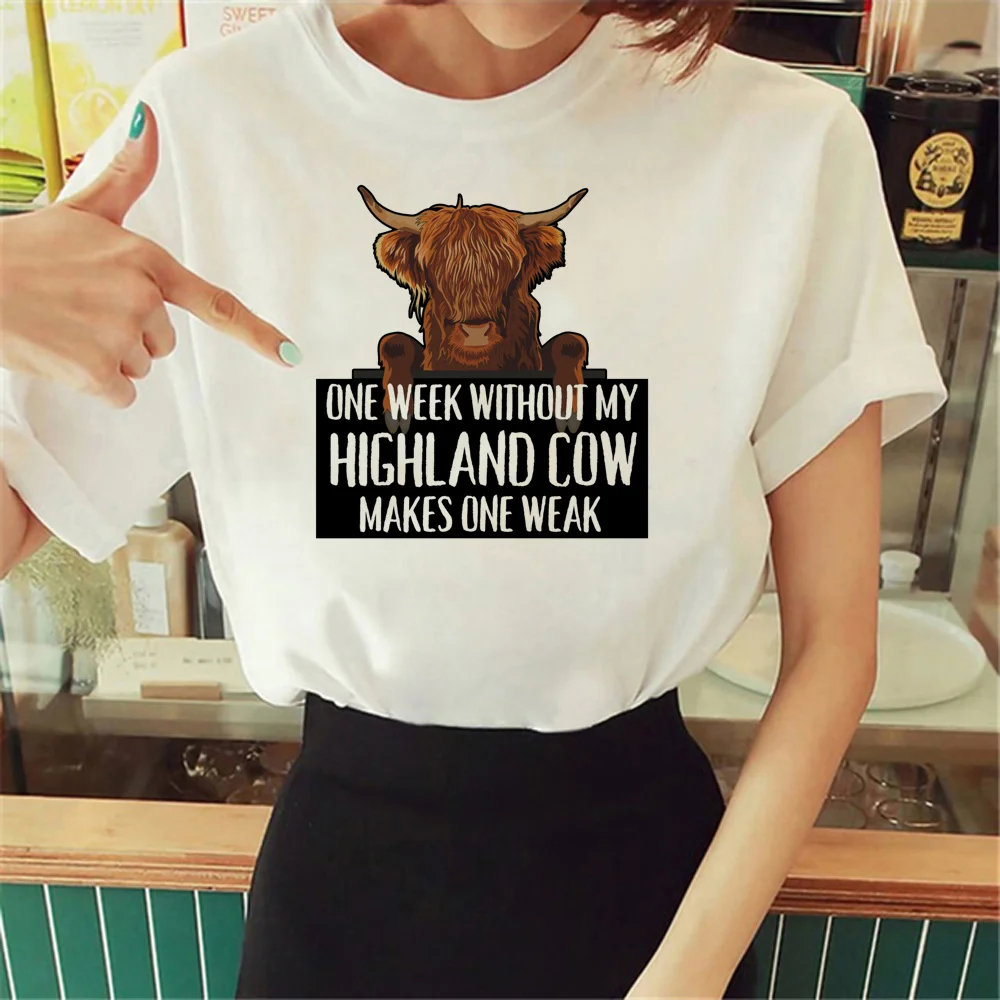 Highland Cow top women comic designer Y2K t shirt female funny streetwear clothing