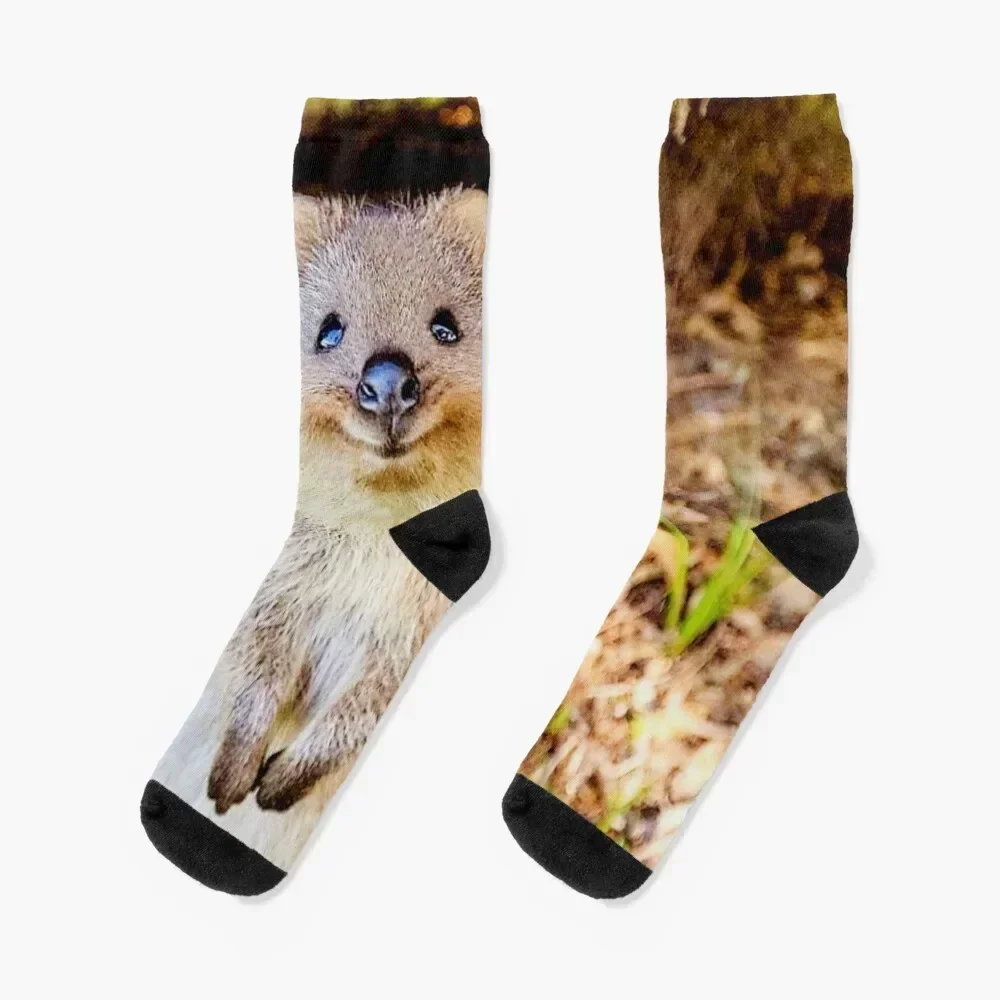 

Be happy like a quokka Socks floral halloween retro Heating sock Male Socks Women's