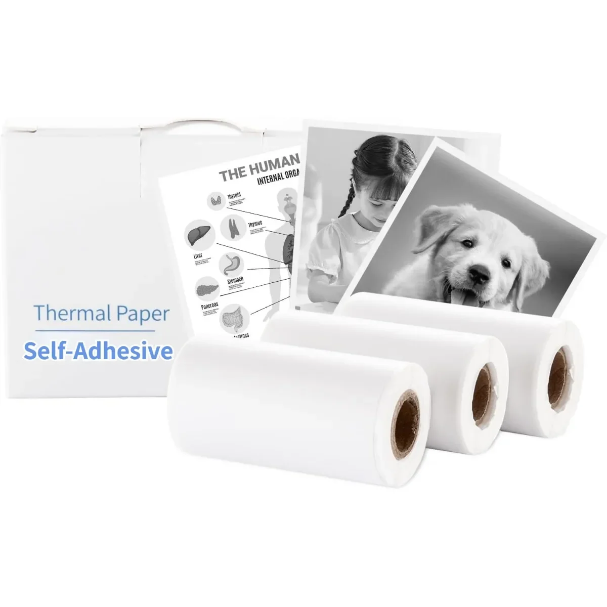 White Self-Adhesive Thermal Paper - Photo Sticker Paper For TP6/TP6-S Inkless Sticker Printer, Waterproof, Oilproof, 57 x30 mm