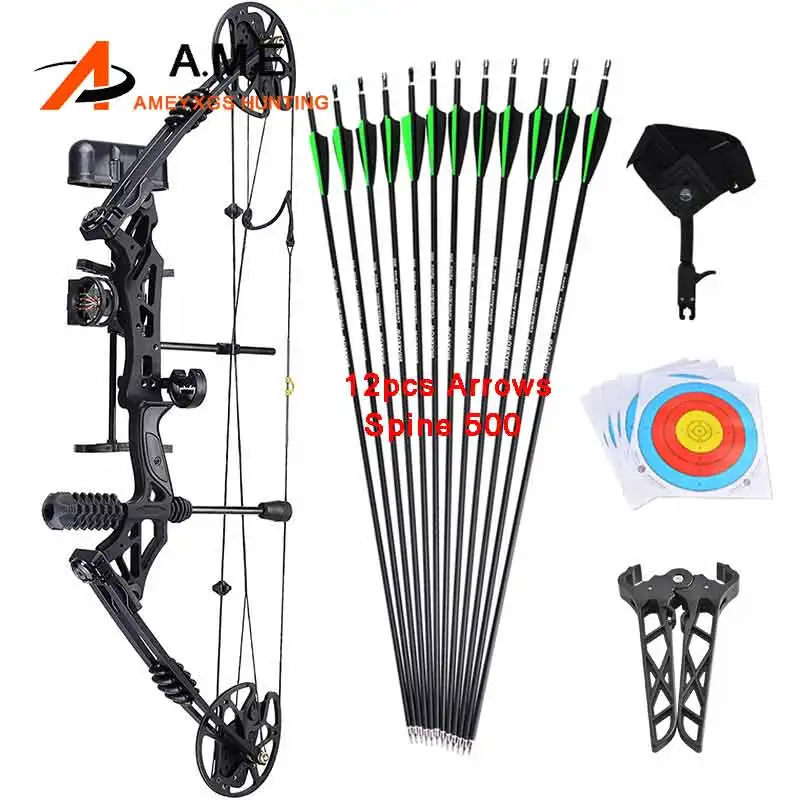 KAIMEI HAN Compound Bow and Arrow Set 30-60Lbs Archery Carbon Arrow 320FPS High-strength Riser Right Hand Shooting Hunting Bow