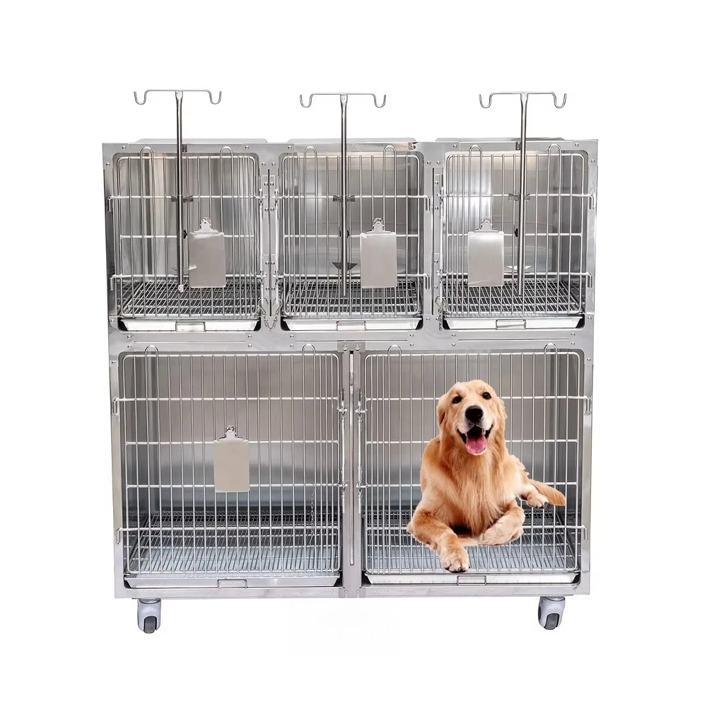 

BPM-HC5V Pet Store Large Space Clinics Cat For Vet Animal Dog Hospitalization Cages