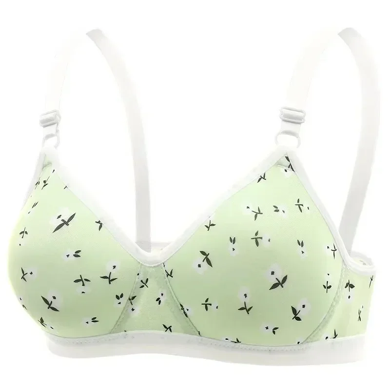 Pregnant Women Sexy Printed Breastfeeding Seamless Breathable Bra Gathered Without Steel Rings To Prevent Light Leakage Bra