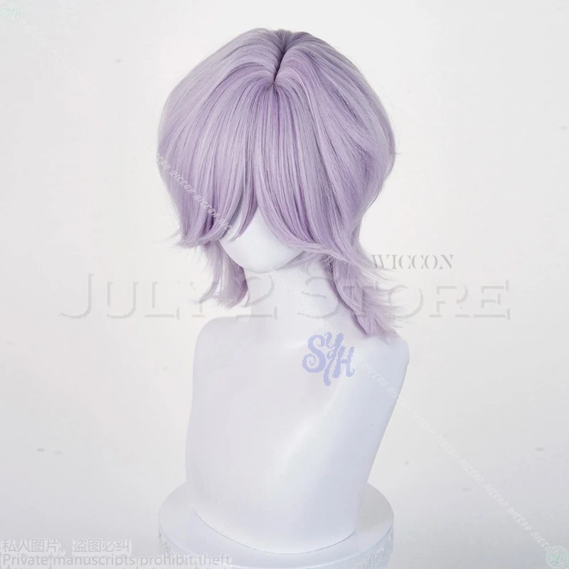 Anime Kpop Demon Cosplay Saja Boys Mystery Hair Purple Gray Wig Heat Resistant Synthetic Hair Wigs + Wig Cap Halloween Christmas