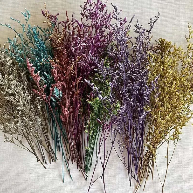 Preserved Grass Dancing Flower 10~12CM/15PCS Real Natural Small Dried Love Herb Flowers Branches DIY For Candle Making Materials