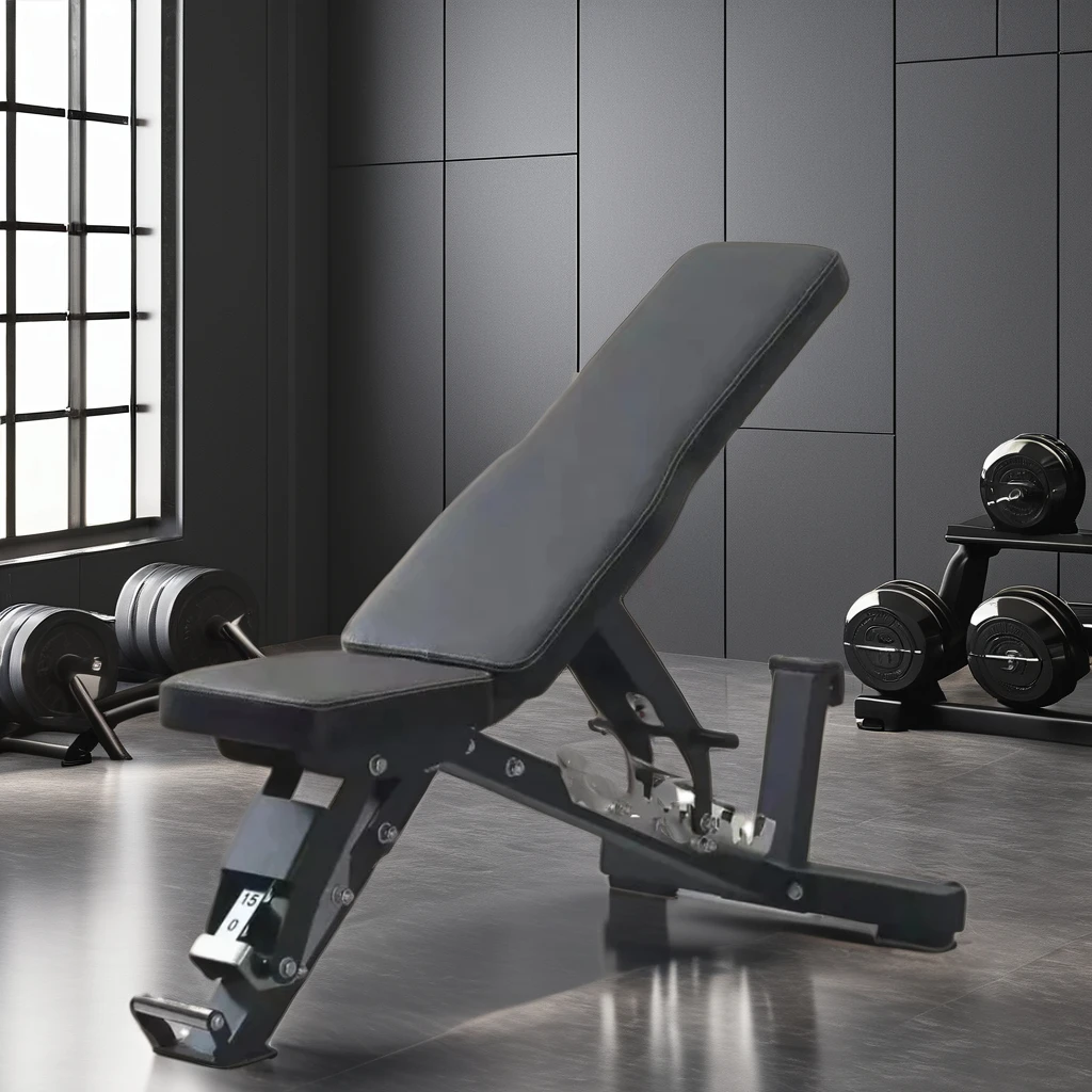 

Home Gym Use Free Weights Workout Gym Bench Fitness Equipment Weightlifting Exercise Machine Adjustable Weight Dumbbell Bench