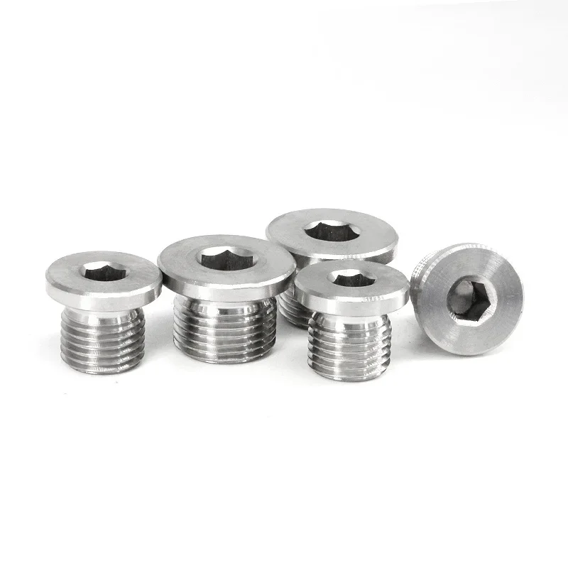 M8 M10 M12 M14 M16 M18 M20 M22 M24 M27 M30 Metric Male Thread 304 Stainless Steel Hex Socket Head End Cap Pipe Plug