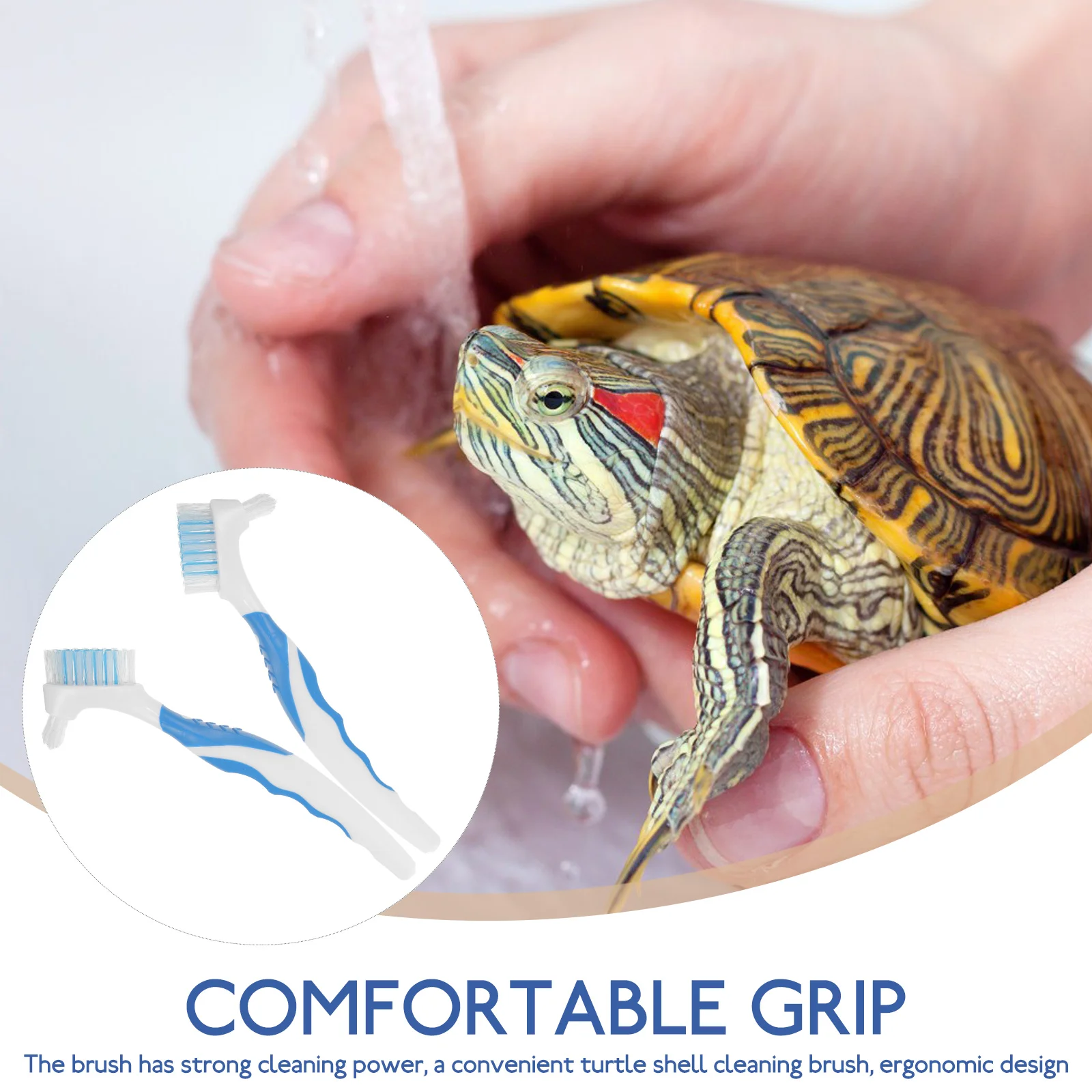 

2Pcs Turtle Shell Cleaning Brush -Sided Dirt Remover for Aquatic Tortoise Care Multi-Functional Portable Mini Tool