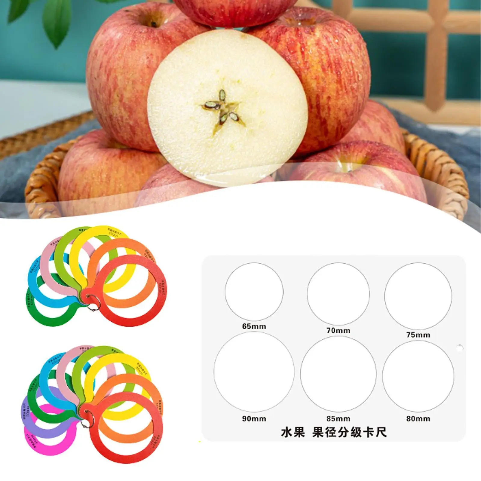 Portable Fruit Caliper Measurement Tool with Plastic Material Fruit Sizing Ruler for Home Orchard Market Use