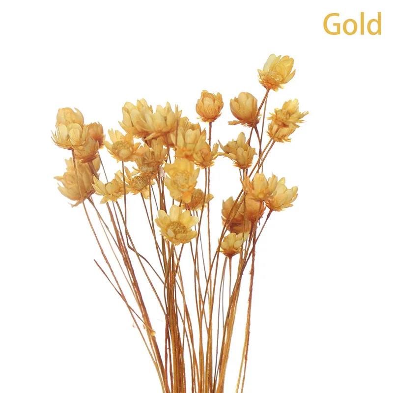 30pcs Dried Flower Brazilian Little Star Flower Gypsophila Chrysanthemum  DIy Gypsophila Little Star Flower Dried Flower