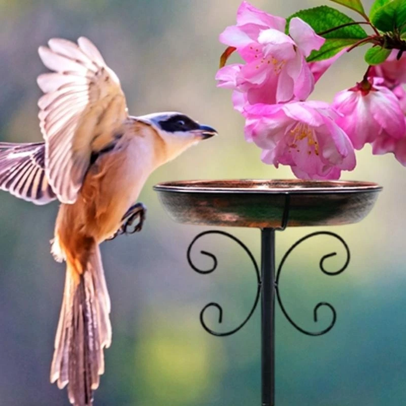 

Elegant Bird Bath for Gardens Patios and Yard Durable Weather Resistant Freestanding with Stable Prongs Base