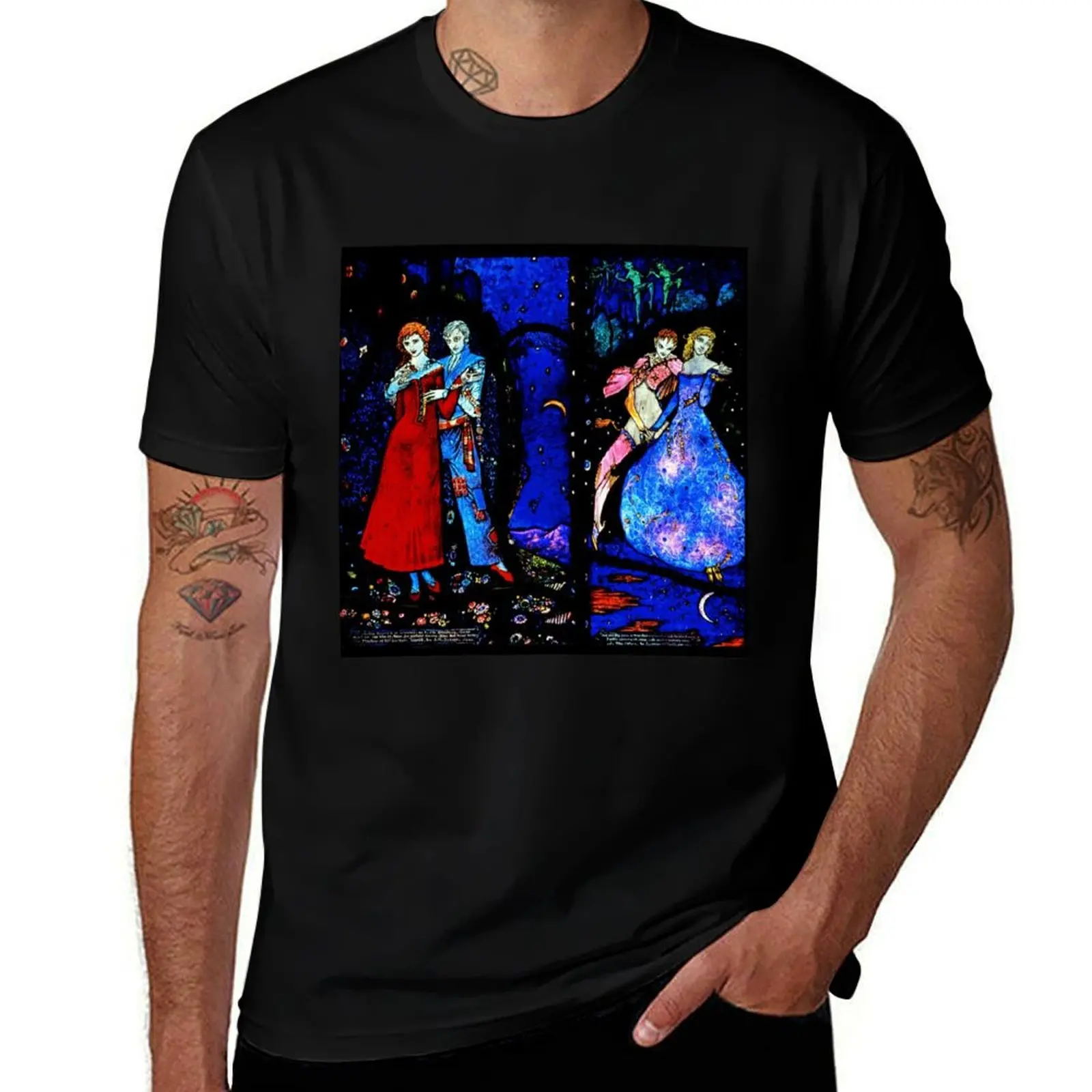 

The Geneva Window -The Playboy of the Western World- Harry Clarke T-Shirt baggy shirts plain men clothing