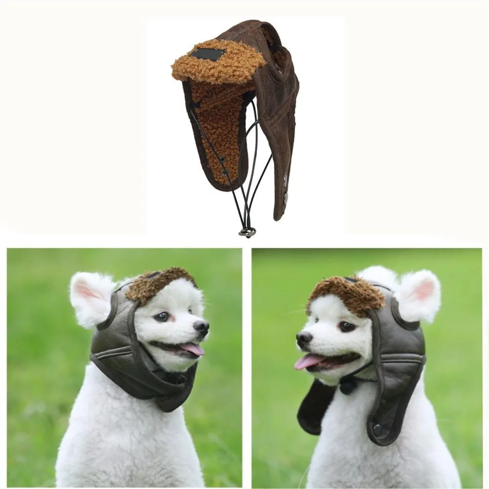 

Pet Costume Creative Pet Show Costume Pet Creative Pet Costume