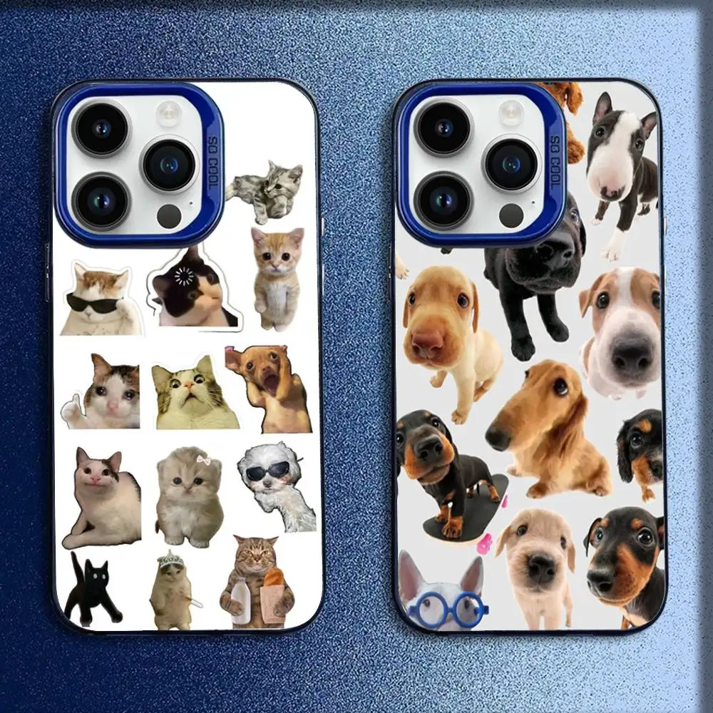

Cute Cat Puppy Dog Colllage Phone Case For iPhone 16,15,14,13,12,11,Mini,Pro,E,MAX Blue Candy Matte Shockproof Cover