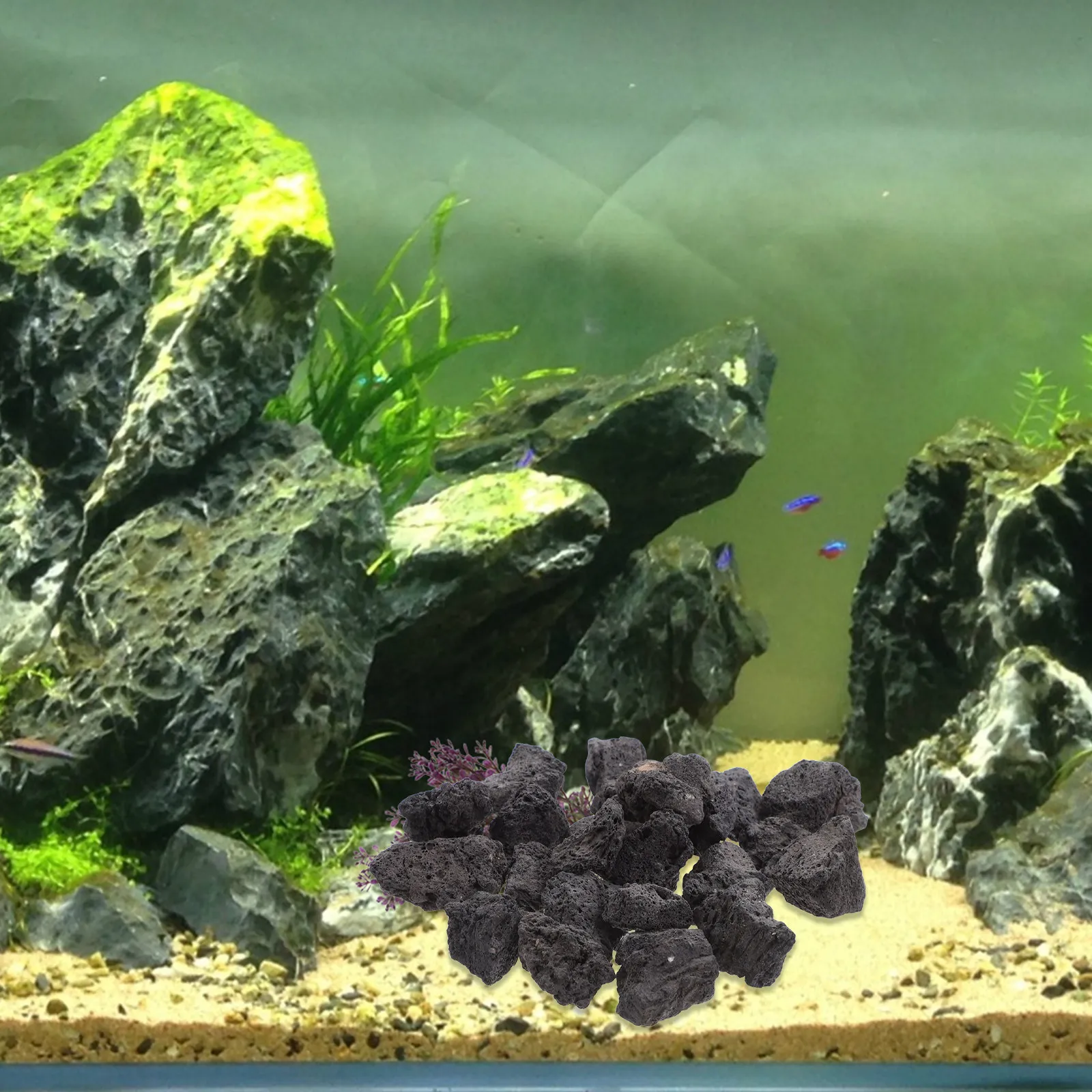 1Pack Natural Volcanic Stone f - Planted Aquarium With Rocks recension och pris