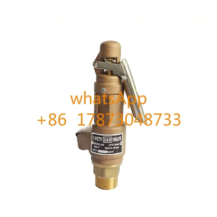 COVNA DN50 2 inch NPT / BSPT Thread Brass Bronze Boiler Steam Safety Relief Valve with Lever