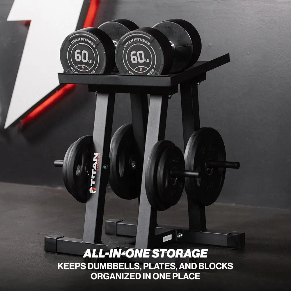 Dumbbell Stand and Plate Tree, 260 LB Capacity, Organize Classic Dumbbells, Power Blocks, Loose Plates, Home Gym Storage Rack