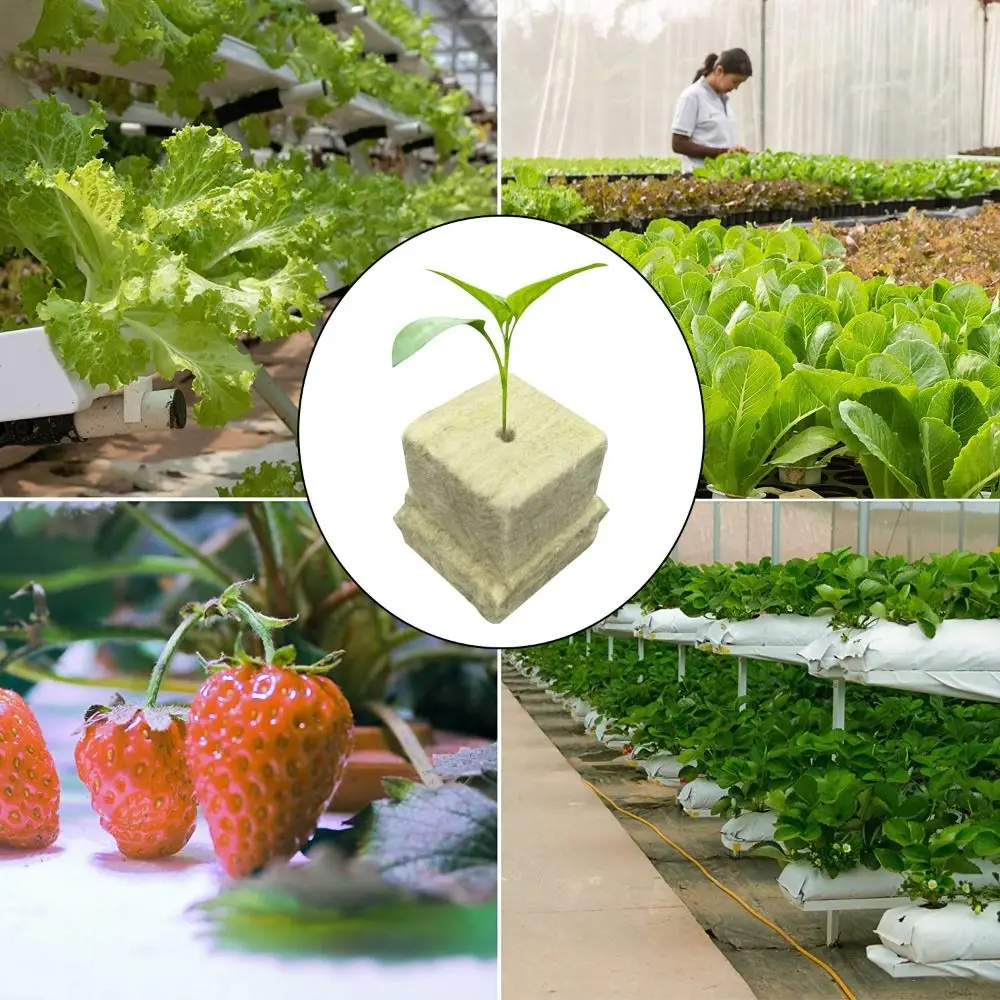 36/50Pcs Seed Starter Grow Cubes Stonewool Single Hole Water Cultivation Tool Starter Plugs Rock Wool Water Cultivation