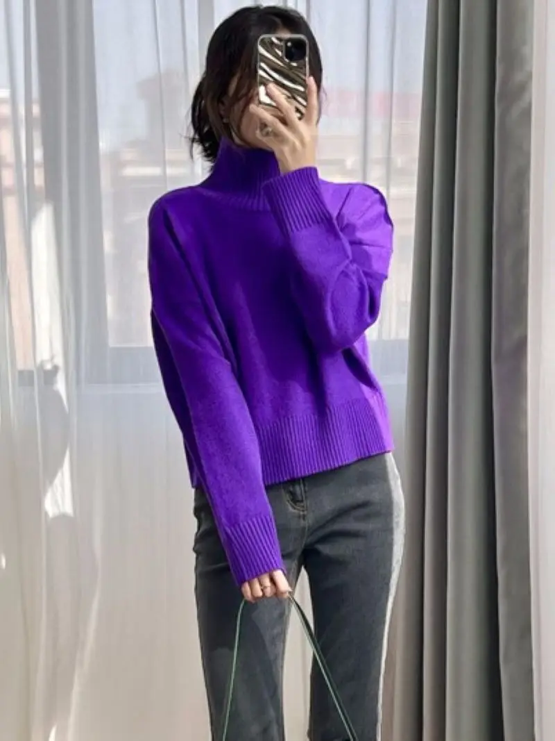 Women Purple Sweater Back Embroidery Turtleneck Long Sleeve Loose Spring 2024 Pullover