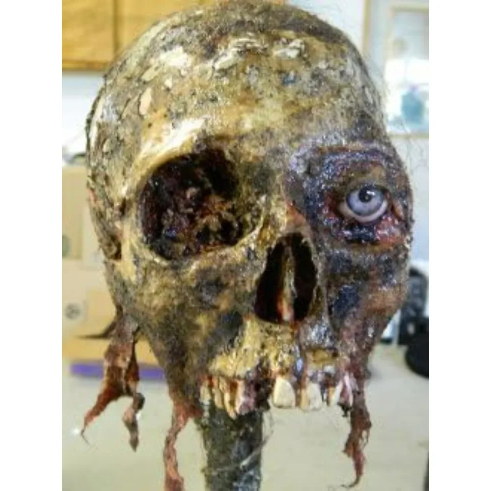 Halloween Horror Movie Prop Human Corpse Skull Head 