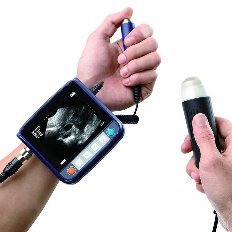 

AMV29 Pig Sheep Dog Veterinary Ultrasound for Small and Large Animal Pregnancy
