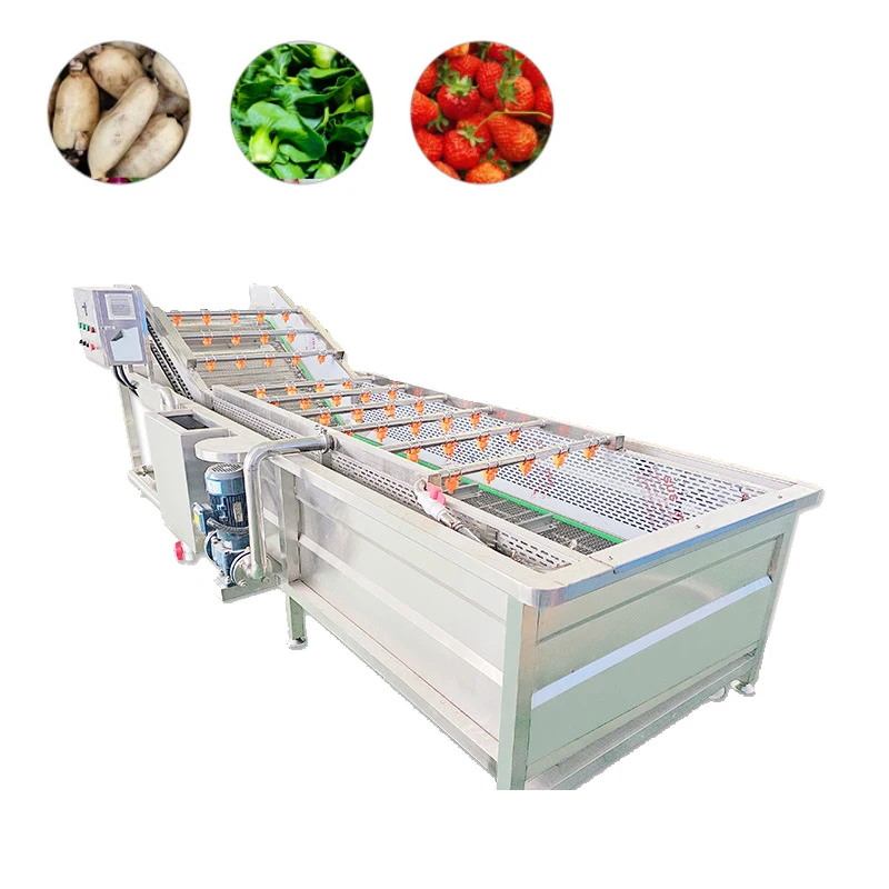 Commercial Fruit Washing Machine with High Pressure Spray and Rotary Brush for Apple Orange