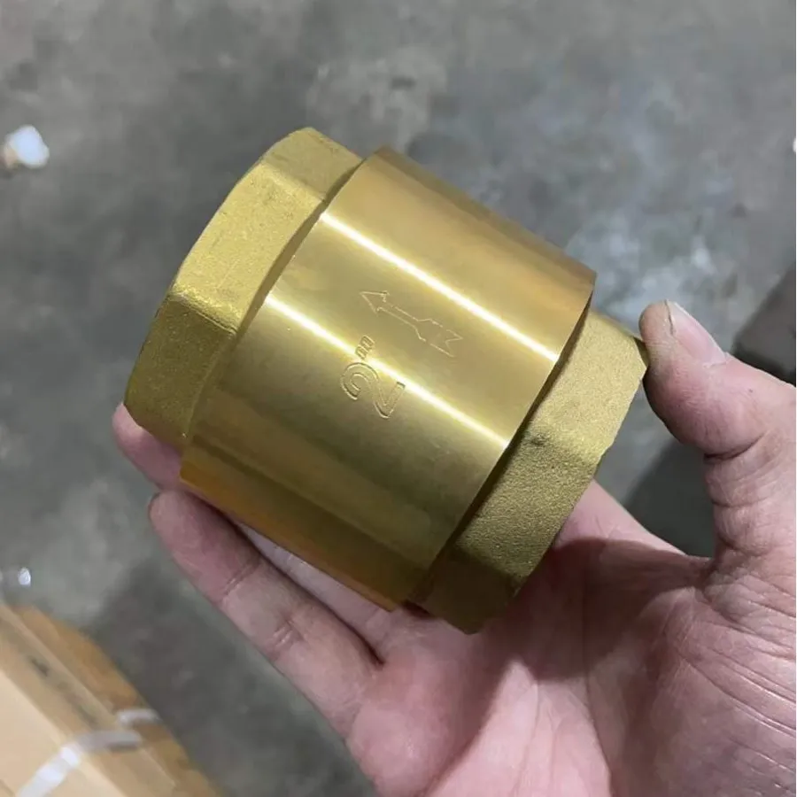 Vertical Copper Check Valve Spring Type, Thickened Water Pipeline Check Check Valve 4 minutes 6 minutes 1 inch