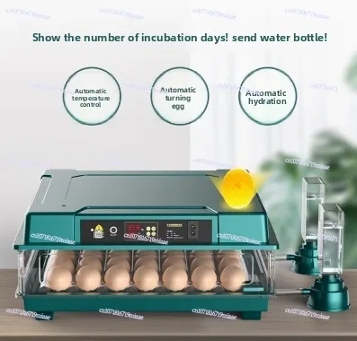 

Water Ionic Waterbed Replenishment And Temperature Control Automatic Eggs Incubator With Drawer Type Mini With Automatic