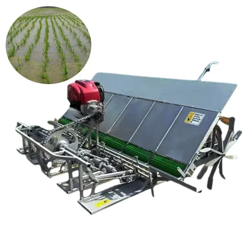 Rice Paddy Transplanter Price Rice Planter Seeder Planting Machine Philippines in Pakistan Manual 4 Rows 6 Rows 4,6 Rows 20/25cm