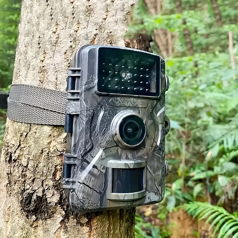 Hunting Camera Wild…