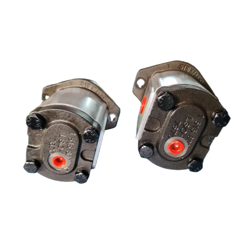 

OEM SNP SNP3NN SKP1NN SNP2NN High Pressure Internal Gear Pump SNP3NN/063RN07SAP1A5A4NNNN/NNNNN Hydraulic Oil Pump