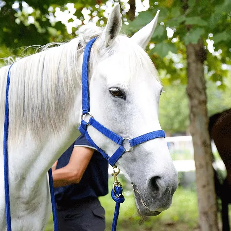 Proteção acolchoada cavalo Halter, ajustável Chin e garganta Snap, equipamento de equitação, vários tamanhos, corda durável