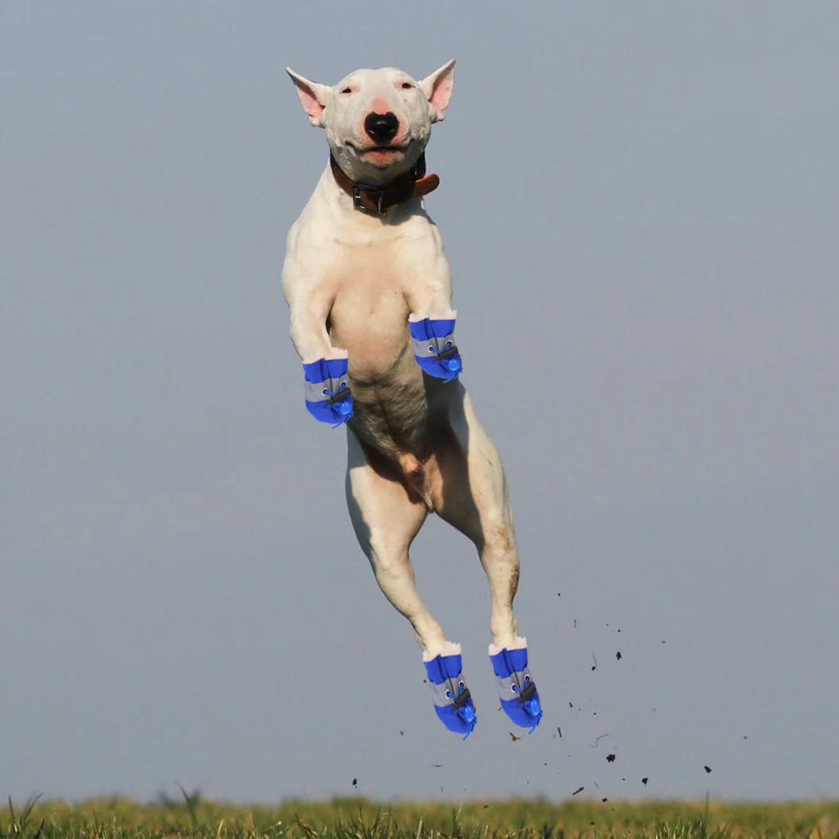 

4Pcs Anti-Skid Dog Boots Pet Shoes Durable Anti-Slip Soles Paw Protector Blue Size 1 Outdoor Pet Shoes Dog Boots