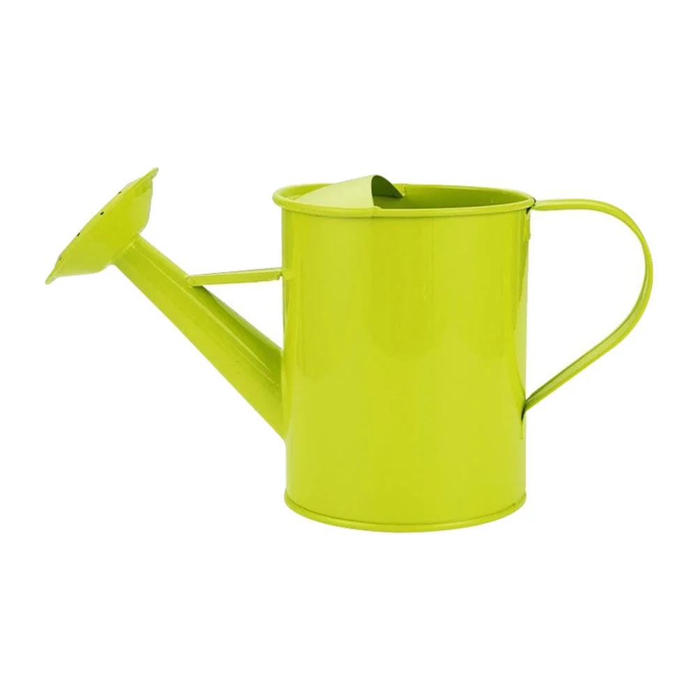 Flower Pot Kids Toys Children Watering Can Garden Cans Metal Succulents Kettle Wrought Iron Plant Tool