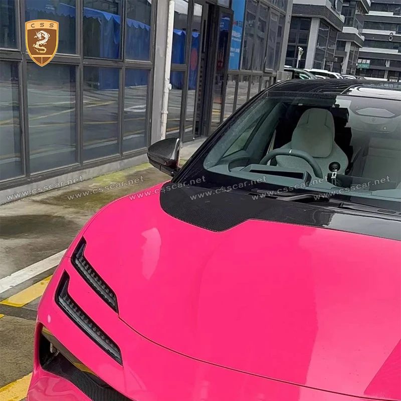CSS تصميم خاص OEM نمط ألياف الكربون الجاف محرك هود تنفيس القوالب ل لوتس Emeya 2024 غطاء المحرك الخارجي شرائط الكسوة #6