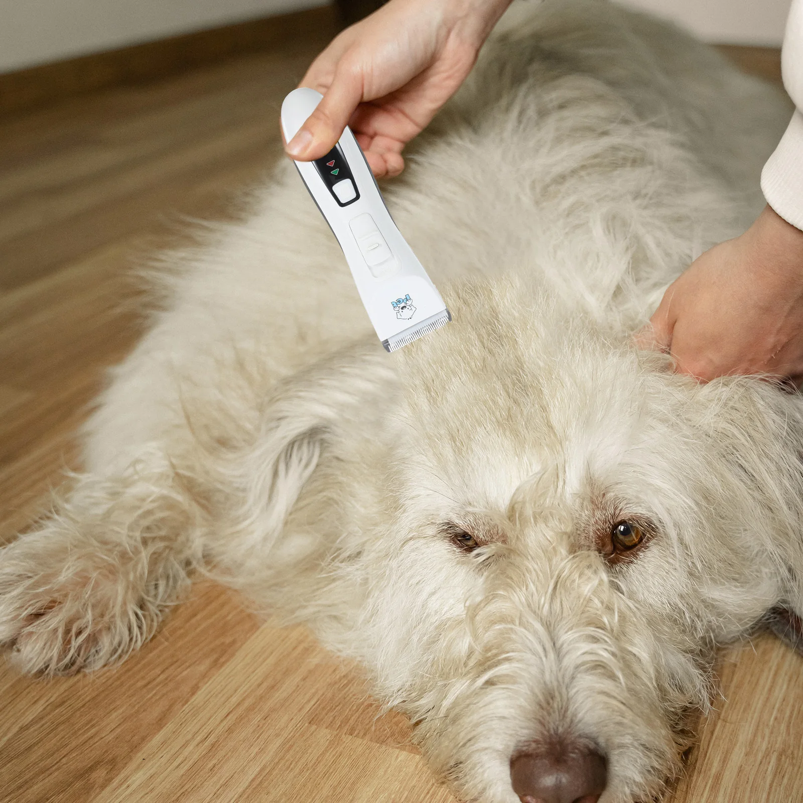 

Pet Clippers Set Professional Hair Trimmer USB Rechargeable Low Noise Titanium Ceramic Blades Cleaning Brush Position Combs Dog