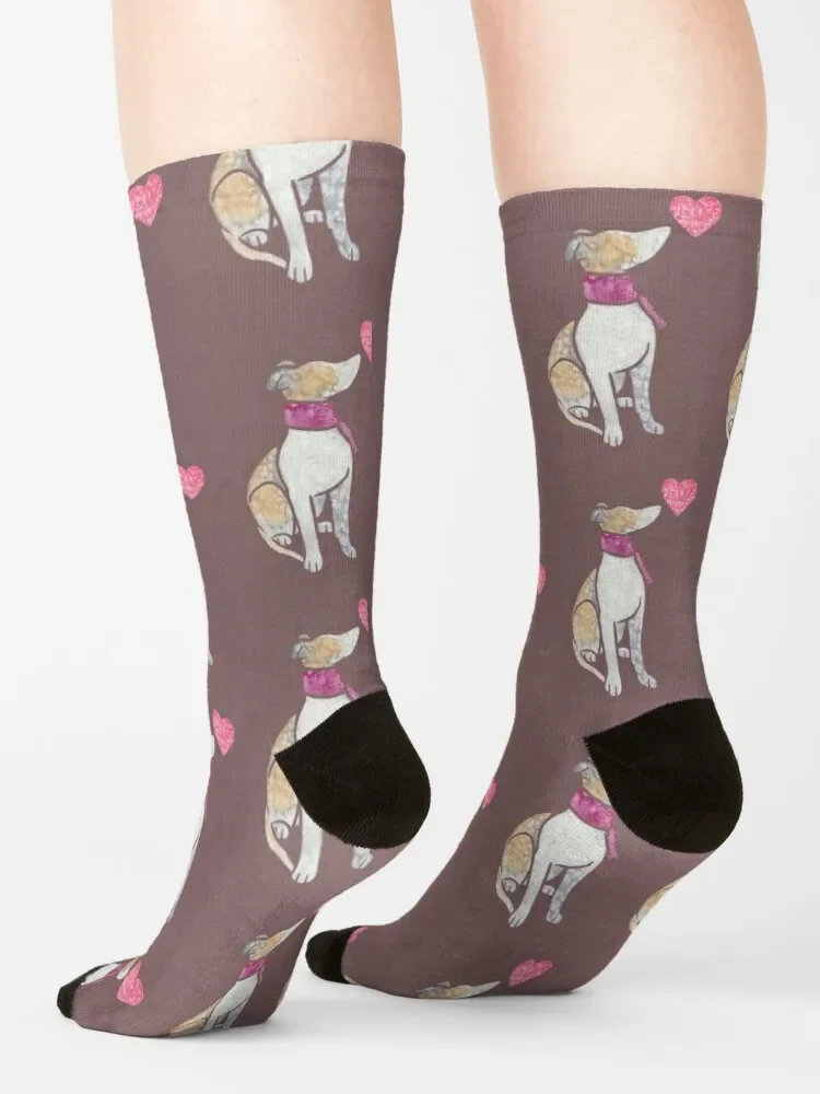 Whippet-calcetines de compresión para niño y mujer, medias con estampado de acuarela, ideas para regalo de San Valentín, Año Nuevo