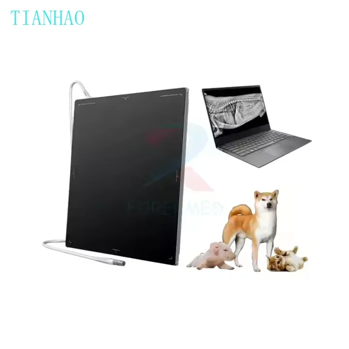 Veterinary Dr Flat … - image