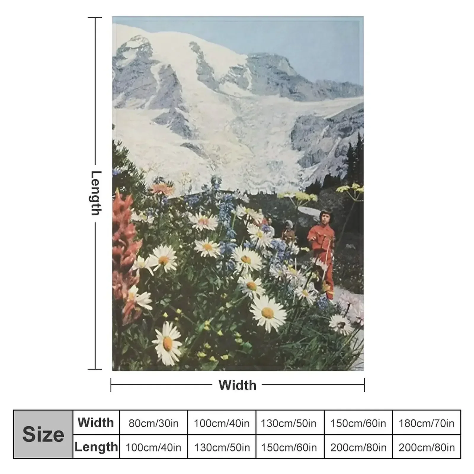 their satanic majesties second request Throw Blanket Soft Blankets For Baby Thin anime Soft Plush Plaid funny gift Blankets